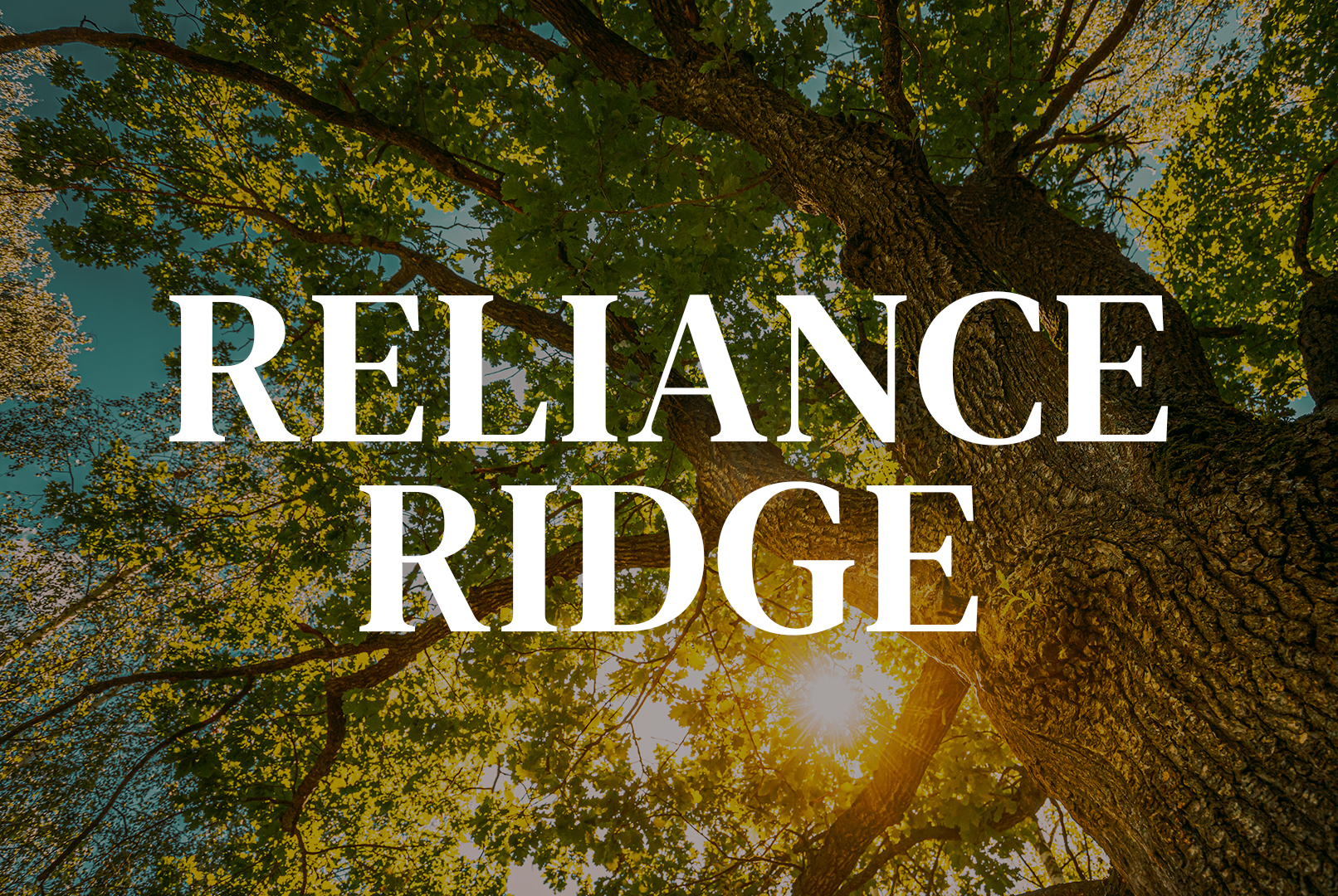 Reliance Ridge